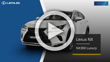 2021 Lexus NX NX300 Luxury Auto 2WD
