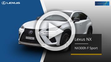 2020 Lexus NX NX300h F Sport Auto 2WD